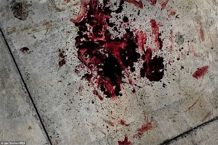 Vết máu trong một vụ đấu súng giữa các băng đảng