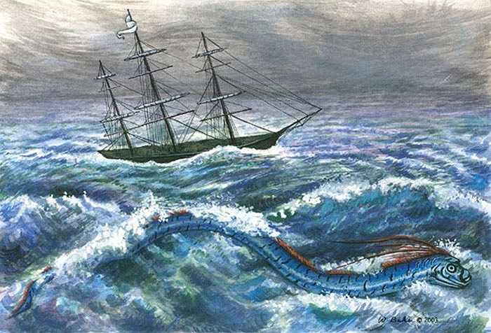 Huyền thoại của Nhật Bản kể rằng, xác cá Oarfish trôi dạt ở bờ biển chính là thông điệp gửi đến từ cung điện của thần biển. 