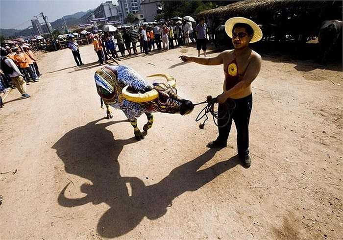 Từ vài năm gần đây cuộc thi thú vị này đã thu hút được hàng trăm nghệ sỹ từ nhiều nơi trên thế giới đến tham dự, cũng như hàng nghìn du khách đến tham quan.