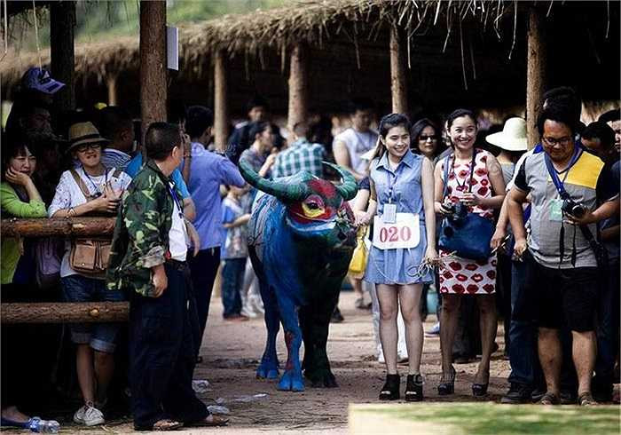 Chính vì vậy mà cuộc thi lý thú này nhanh chóng được các nghệ sỹ từ nhiều quốc gia hưởng ứng, trong đó có cả những nước châu Âu, châu Đại Dương.