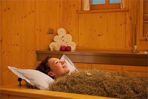 Khi đến một số nhà nghỉ thuộc Nam Tyrol - một tỉnh tự trị của miền Bắc Italy, nếu có người hỏi bạn muốn tắm cỏ khô không, bạn có thể hiểu là họ đang giới thiệu một loại hình spa độc nhất vô nhị của vùng này.
