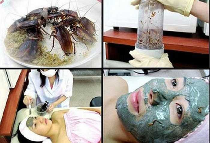 Tại Hàn Quốc có một phương pháp làm đẹp đó là “mặt nạ từ gián'. Theo những người sáng chế thì gián giúp làm sạch da và lỗ chân lông. Cách làm cũng đơn giản bắt vài con gián cho vào máy xay nhuyễn thành bột rồi trộn với một ít kem và đắp lên mặt.