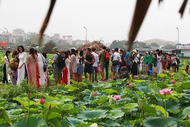 Để được bước chân vào khu vực đầm, mỗi một người phải trả tiền cho chủ đầm là 30.000 đồng, bất kể có chụp ảnh hay không.