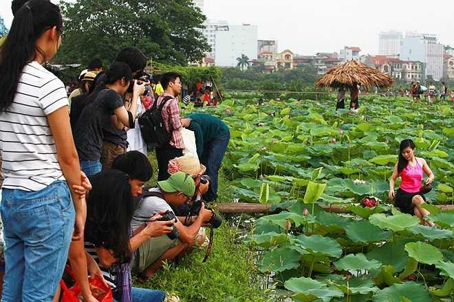 Các cây cầu tre được lắp đặt thêm để khách có thể ra giữa đầm tạo dáng.