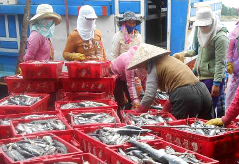 ngư dân, Hoàng Sa, Lý Sơn, về bờ, Trung Quốc, hành hung