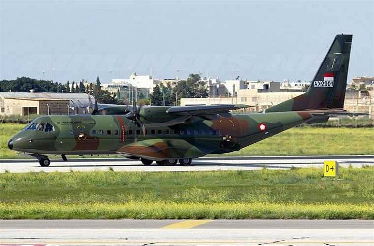 Trước đó, trong năm 2013, truyền thông Indonesia đã đưa tin rằng, Việt Nam bày tỏ sự quan tâm tới máy bay vận tải CN295 do Indonesia chế tạo. Thực chất, CN295 là phiên bản của C295 được lắp ráp tại Indonesia với tính năng, thông số kĩ thuật tương đương. 