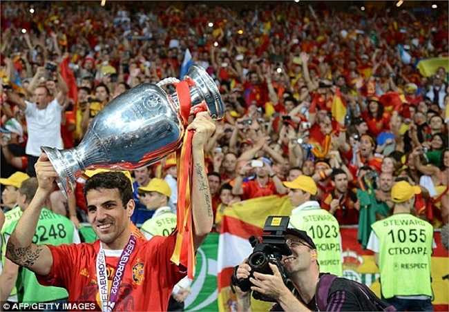 Cũng trong năm 2012, tiền vệ 27 tuổi giành được danh hiệu cao quý nhất trong sự nghiệp, đó chính là chức vô địch Euro cùng ĐT Tây Ban Nha.