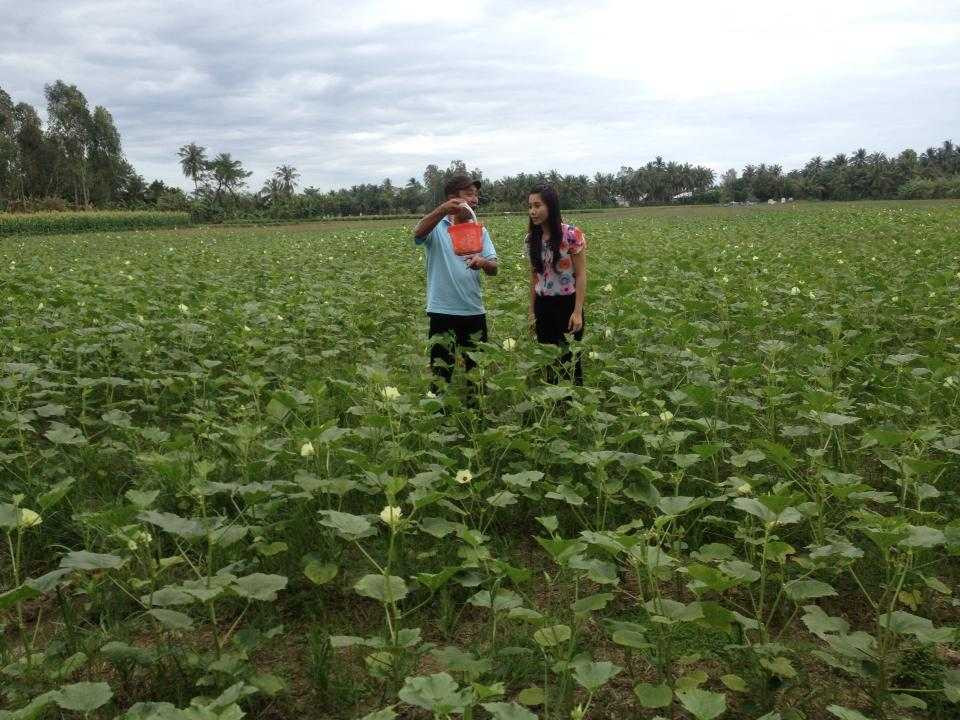 Con đã lớn khôn