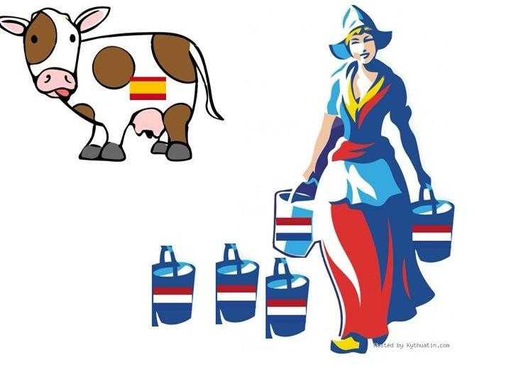 'Cô gái Hà Lan' vắt sữa 'bò'