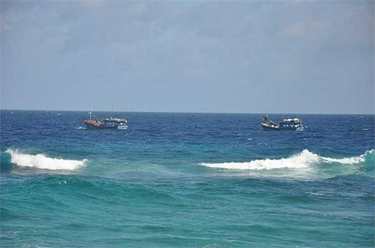 Ngoài ra, ngư trường Bạch Long Vĩ còn được biết đến với đặc sản bào ngư. Loại hải sản này giàu chất dinh dưỡng và đặc biệt nổi tiếng ở vùng này.