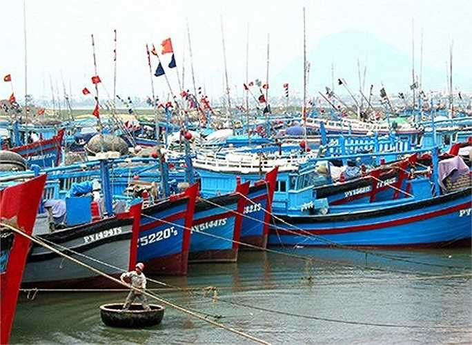 Với 63.290 km vuông diện tích khai thác thủy sản, ngư trường Kiên Giang là ngư trường khai thác trọng điểm của nước ta. Ở đây, ngư dân có thể khai thác biển với trữ lượng 500.000 tấn/năm về lượng tôm cá hải sâm, sò huyết, bào ngư, ngọc trai…