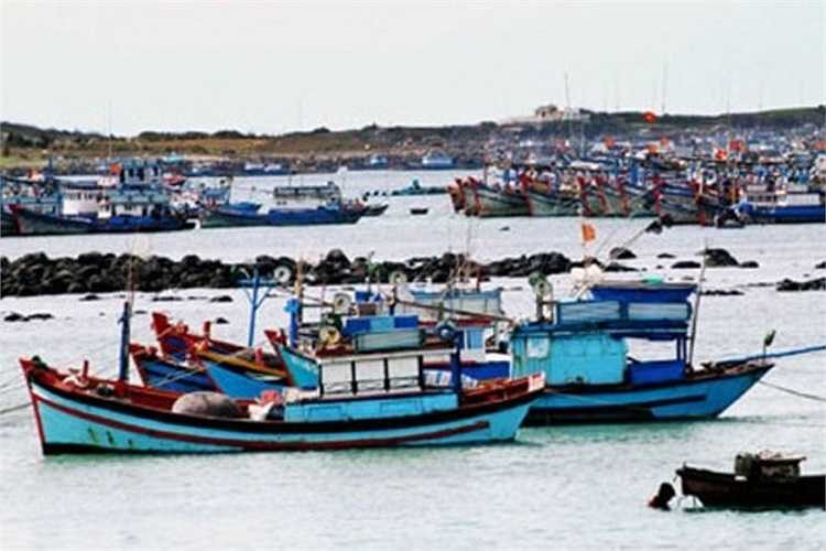 Sò điệp là đặc sản của biển Bình Thuận, tập trung ở 4 bãi chính là: La Khế, Hòn Rơm, Hòn Cau và Phan Rí, cho phép đánh bắt 25-30 nghìn tấn/năm.