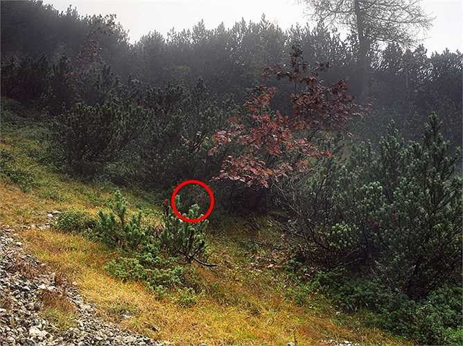 Các tay bắn tỉa như có khả năng tàng hình