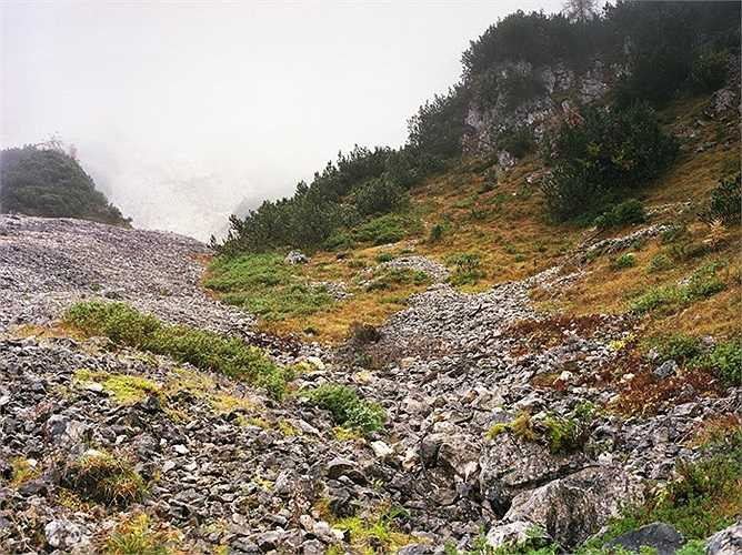 Môi trường nhiều màu sắc hỗ trợ rất nhiều cho các tay súng bắn tỉa