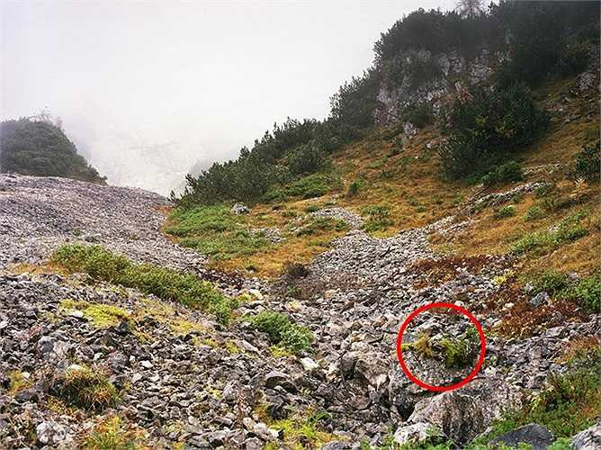 Ít ai có thể nhận ra được anh ta