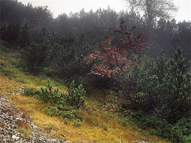 Một khi đã hòa mình vào địa hình