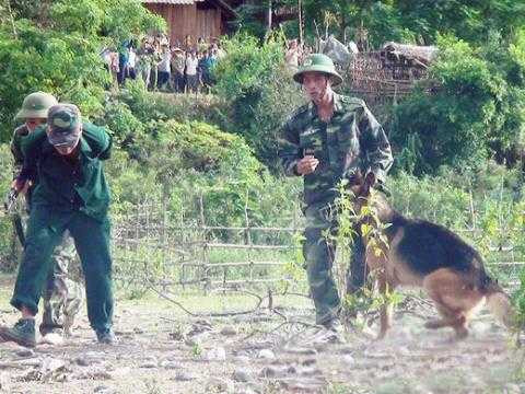 Truy bắt, dẫn giải biệt kích bị bắt sống