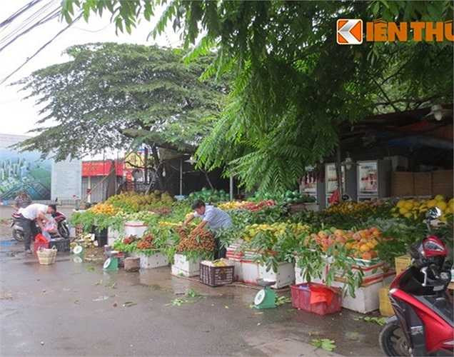 Ngay phía ngoài mặt tiền của lô đất dự án Castle Plaza đang được tận dụng bán hoa quả...