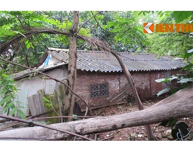 Xung quanh đó, những khu đất còn bỏ hoang của Castle Plaza được người vô gia cư tận dụng dựng lều, nhà tạm để sinh sống.