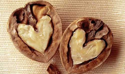 thực phẩm cho bà bầu