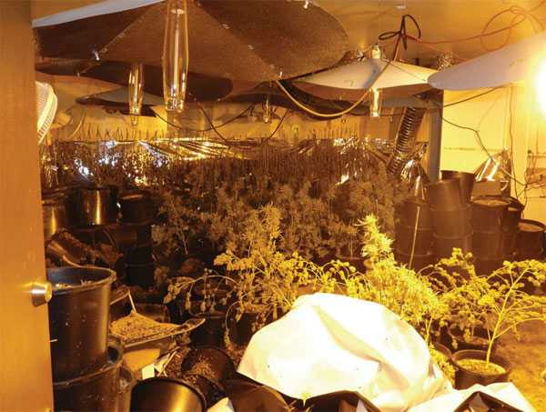 Hoa hậu phu nhân người Việt toàn cầu lãnh án 3 năm tù