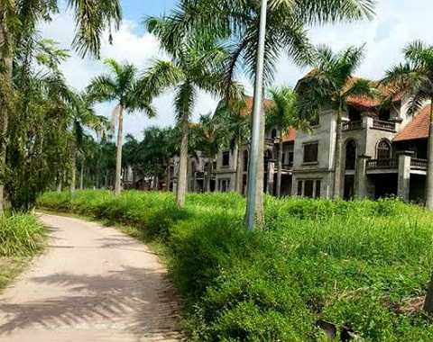 biệt thự, bỏ hoang, Thiên đường Bảo Sơn, Bảo Sơn