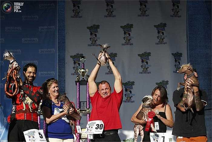 Cuộc thi 'Chó xấu nhất thế giới' năm nay diễn ra tại Petaluma, California (Mỹ), trong ảnh là những 'ứng cử viên hàng đầu' đang chờ kết quả từ Ban giám khảo.