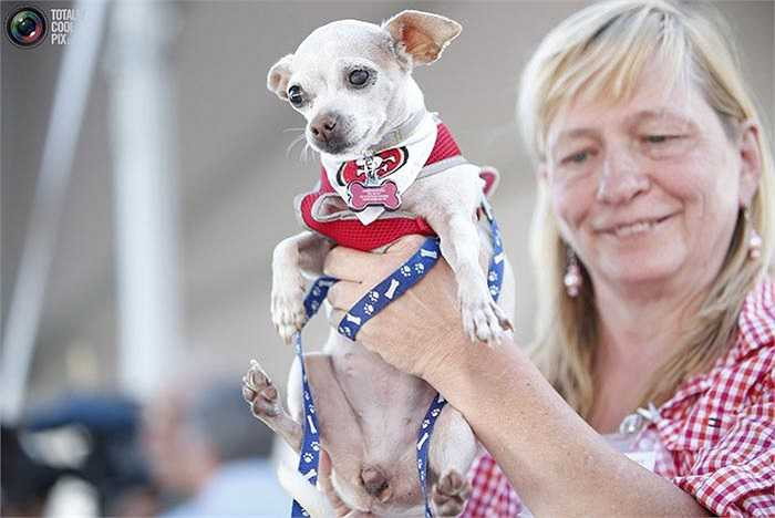 Người chiến thắng sẽ nhận giải thưởng 1.000$ và danh hiệu 'Chú chó xấu nhất thế giới' từ ban tổ chức.