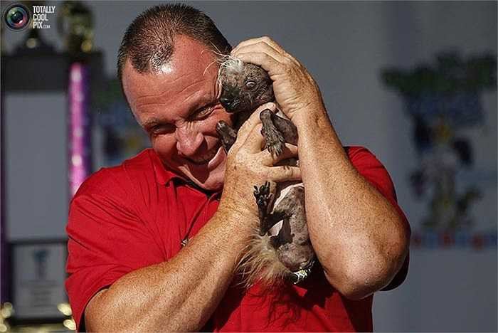 Cuộc thi được tổ chức nhằm kêu gọi mọi người chống lại các hành vi lạm dụng và bạo hành động vật, nhất là với những con vật ốm đau hay xấu xí.