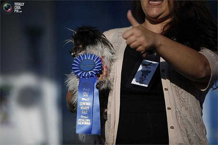 Tạo dáng chuyên nghiệp cho các nhiếp ảnh gia khi đứng trên bục vinh danh.