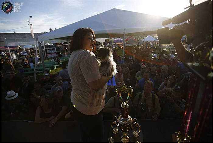Số lượng phóng viên tác nghiệp ở đây cũng đông đúc và nhiệt tình không hề thua kém bất cứ cuộc thi sắc đẹp nổi tiếng nào.
