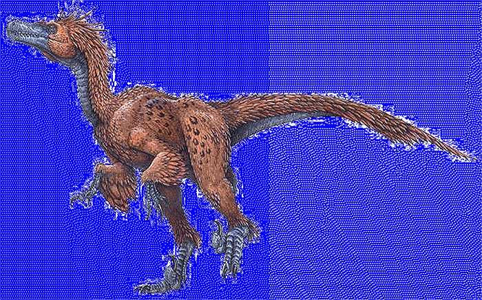 Chim săn mồi tốc độ là một loài khủng long từng tồn tại vào cuối kỷ Phấn Trắng. Chúng có khả năng làm chủ bóng tối bởi đôi mắt tinh tường, hoạt động hết sức tuyệt vời vào ban đêm. Bởi vậy, mọi con mồi của chúng không bao giờ có thể ngon giấc.