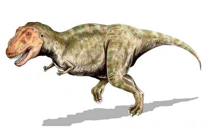 Là bạo chúa trong thế giới khủng long, lực cắn của khủng long bạo chúa còn hơn cả trọng lượng của một con voi châu Phi. Những miếng cắn của chúng là nguyên nhân khiến nhiều loài tuyệt chủng.