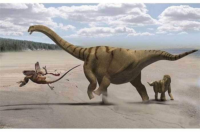 Chiếc đuôi dài và nhọn của Apatosaurus thật sự là ác mộng đối với kẻ thù của chúng bởi khả năng quật con mồi nhanh chóng mặt với tốc độ siêu âm và sức mạnh tạo thành sấm sét.