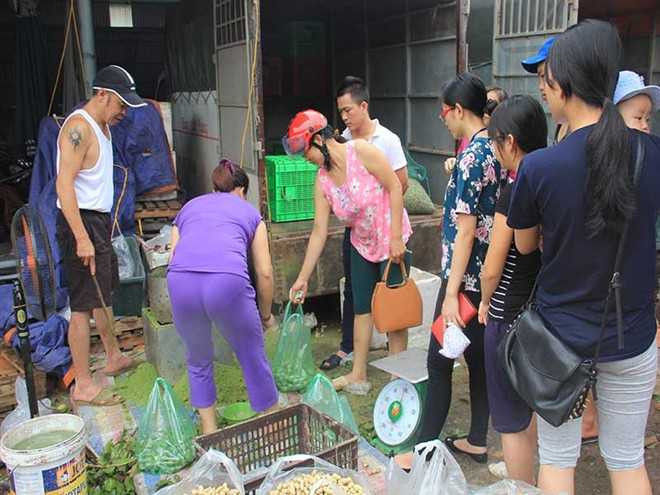 Kiếm tiền triệu từ tiền công chà vỏ sấu