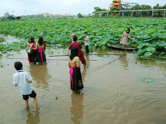 Dịch vụ cho thuê đầm sen chụp ảnh nở rộ ở Hà Nội vài năm trở lại đây
