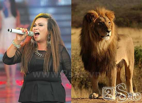 Biệt danh Sư tử của Kim Loan The Voice do chính 'Ông hoàng nhạc Việt' Đàm Vĩnh Hưng đặt. Nó xuất phát từ ngoại hình “hầm hố” và giọng hát 'khủng' của cô.