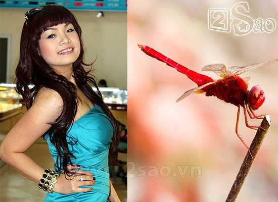 Ngọc Khuê được người hâm mộ đặt cho biệt danh Chuồn chuồn ớt.