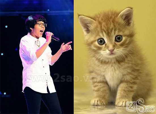 Giọng ca cá tính đến từ The Voice 2013 Vũ Cát Tường có biệt danh là Mèo.