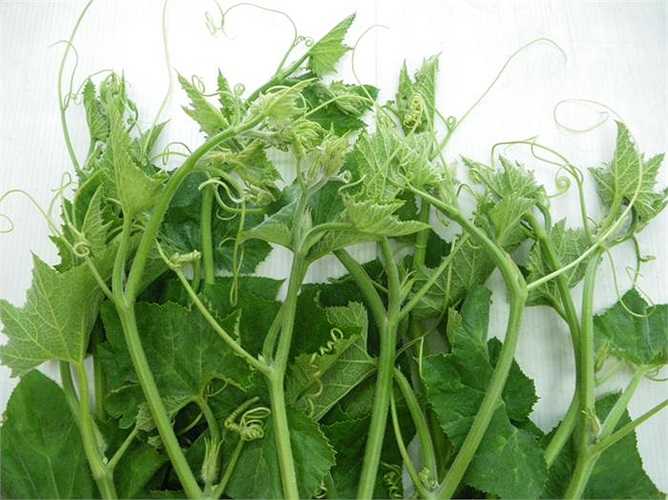 Khi nhìn thấy những ngọn rau bí dài và non, khoảng cách giữa các lóng xa nhau, tay cuốn mập và ngắn, ít lông tơ, ngọn bí mầu xanh nhạt, lá mầu xanh đen... là những loại rau thừa đạm, phun nhiều phân bón lá và chưa đủ thời gian cách ly. 