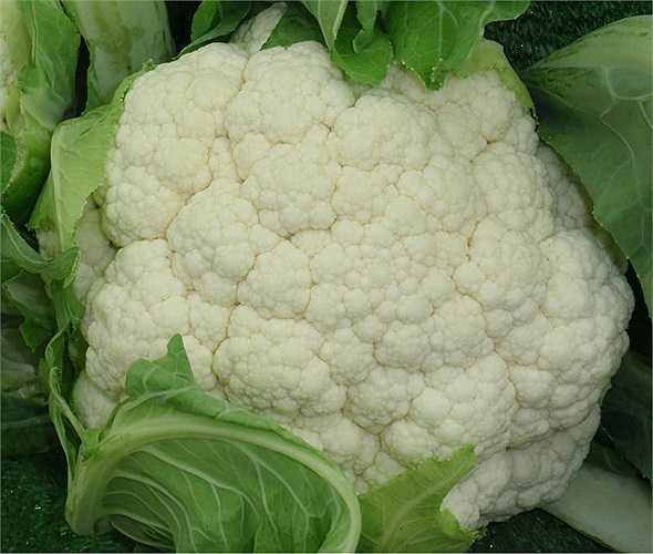 Bảo quản: Khi mua súp lơ về, bạn không rửa bởi khi dính nước nó sẽ nhanh hỏng, hãy để rau trong túi nhựa và cất ở ngăn mát của tủ lạnh. Cách này có thể giữ tươi súp lơ trong 5 ngày. 