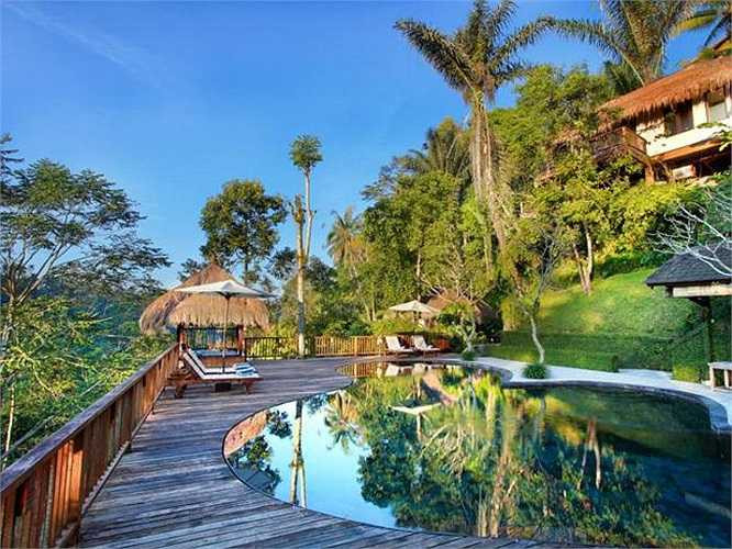 Bể bơi với thiết kế độc đáo giúp du khách thư giãn hoàn toàn giữa khung cảnh núi rừng xanh ngút ngàn. 