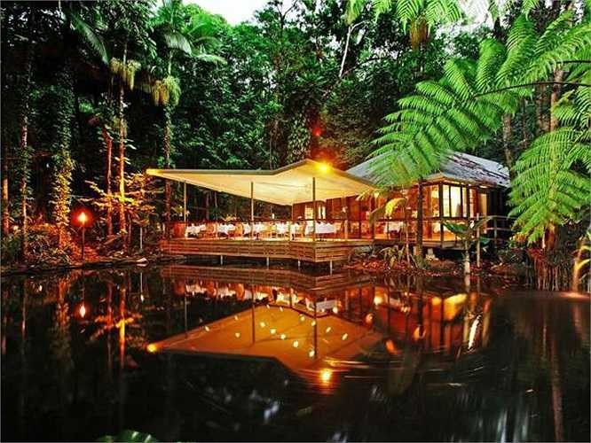 3. Daintree Eco Lodge and Spa Hotel ở Queensland: Với bối cảnh là khu rừng nhiệt đới cổ xưa nhất thế giới Daintree, khách sạn cùng tên là lựa chọn hoàn hảo cho những người lựa chọn du lịch sinh thái để về gần hơn với thiên nhiên. 