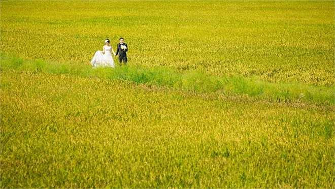 Khi Tsutomu nhờ Khoa, một người bạn Việt Nam, tìm người và địa điểm chụp ảnh cưới cho mình tại một khách sạn, Khoa đã tư vấn cả hai nên thử chụp ngoại cảnh kiểu Việt Nam, và từ đây một cái nhìn đầy ấn tượng và thú vị về văn hóa Việt Nam đã đến với Tsutomu và Erika. Tình yêu Việt Nam của đôi uyên ương Nhật Bản này cũng lớn dần từ những bức ảnh cưới lung linh tuyệt đẹp.