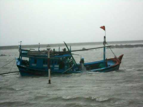 tàu cá, ngư dân, đâm chìm, va chạm, thoát nạn, cấp cứu