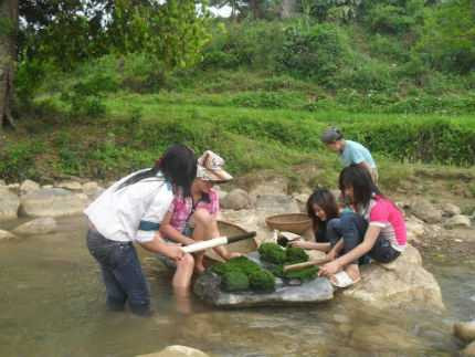 Bí ẩn loài kỳ thảo trường thọ ở 'thung lũng tiên'