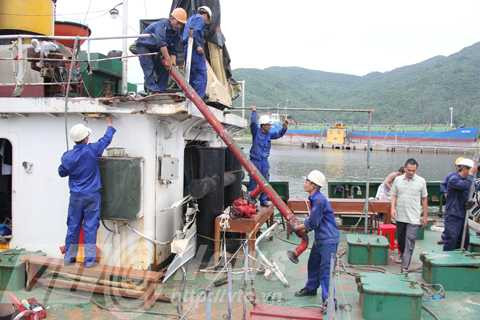 Kiểm ngư, TRung Quốc, tấn công, thương tích, trở về, hư hại, Hoàng Sa, chấp pháp