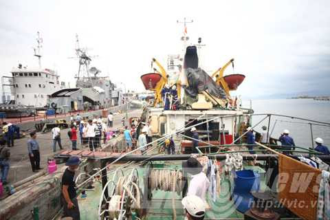 Kiểm ngư, TRung Quốc, tấn công, thương tích, trở về, hư hại, Hoàng Sa, chấp pháp