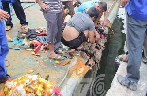 Kiểm ngư, TRung Quốc, tấn công, thương tích, trở về, hư hại, Hoàng Sa, chấp pháp