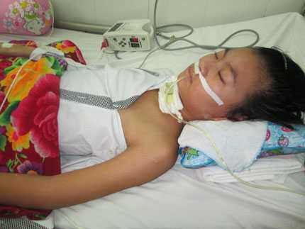 Cục trưởng Y tế dự phòng nói về viêm não Nhật Bản